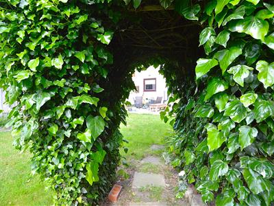 Picture 19